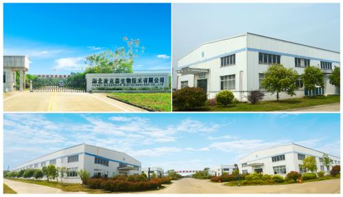 速诺健标准化生产基地公开资料